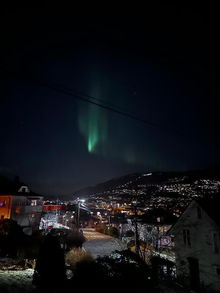 Spacious And Beautiful Apartment In Bergen With Free Parking Buitenkant foto