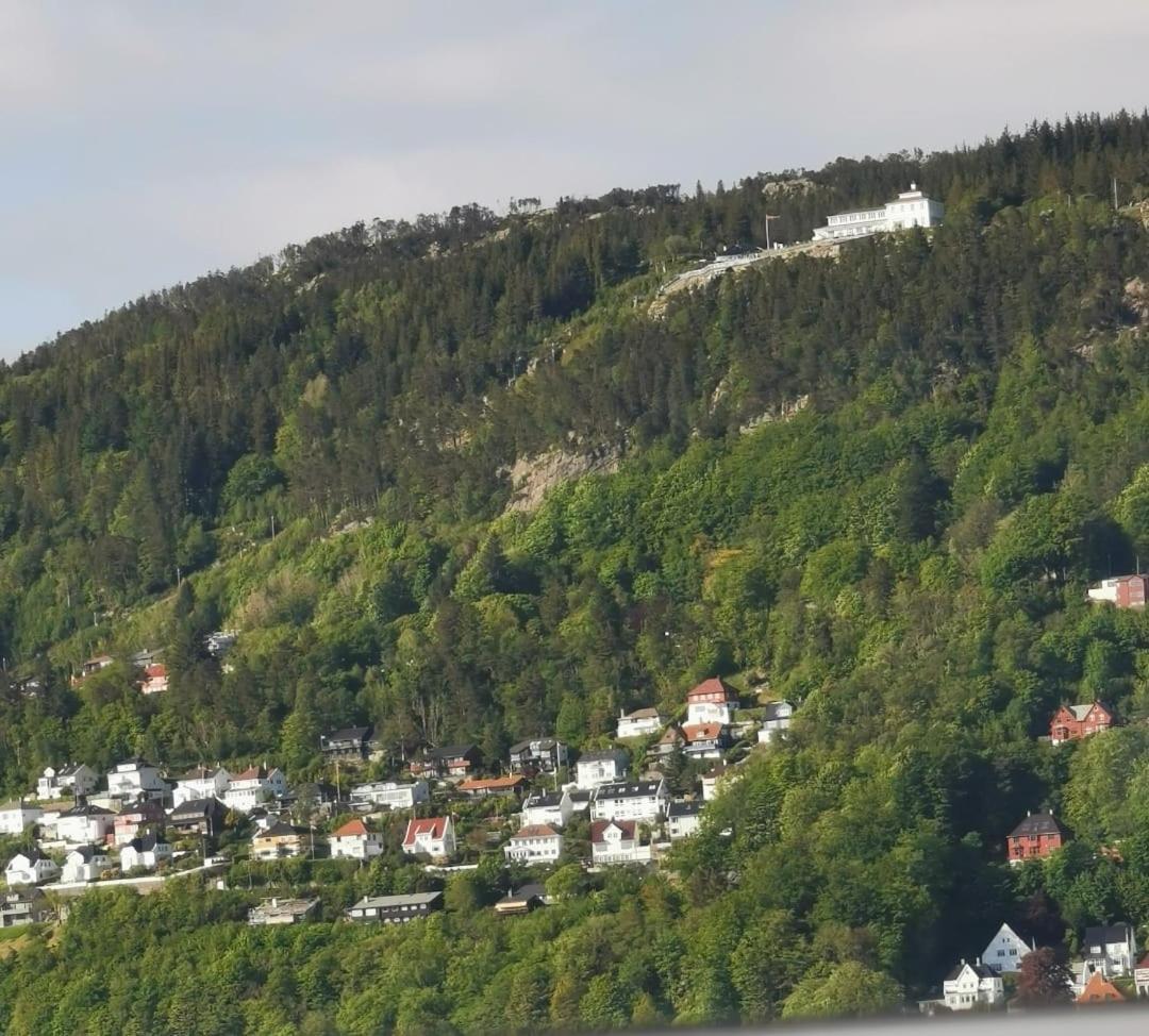 Spacious And Beautiful Apartment In Bergen With Free Parking Buitenkant foto