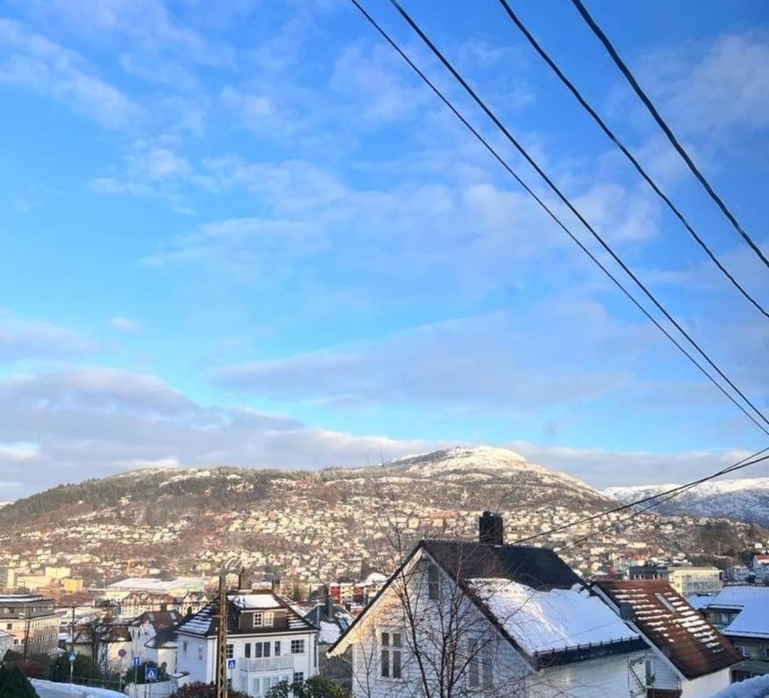 Spacious And Beautiful Apartment In Bergen With Free Parking Buitenkant foto